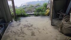 Taiwancdgirl: I Masturbated in the Ruins Without Underwear
