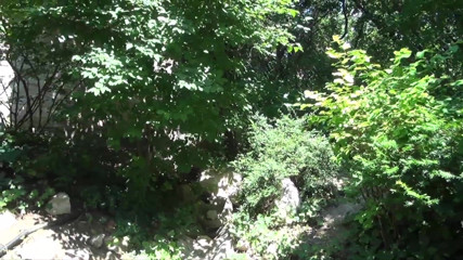 Cum Outdoor: Безсоромний секс зі зведеною сестрою в парку