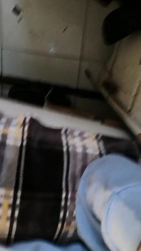 Dương vật giả trong đít