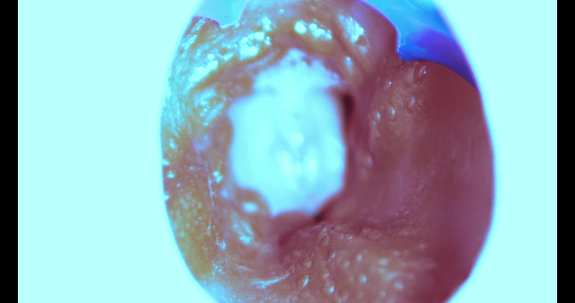 SEXY_GUYBEST: 내 보지를 빨아주는 방법 카메라 내부!