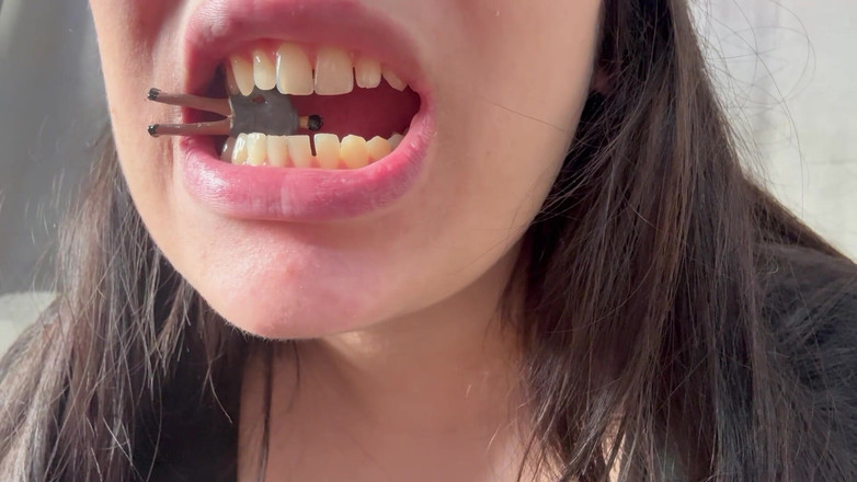 AmayaMori: Awek gergasi meletakkan suami kecilnya padanya