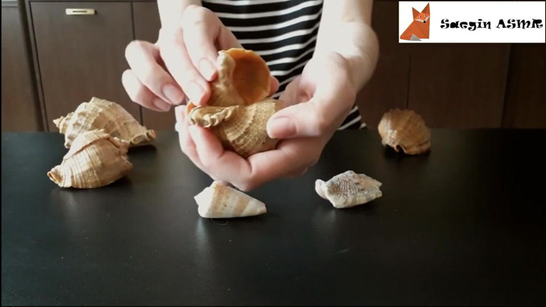 Saegin: 1[ASMR] Menggosok bersama dan menggores kerang laut (tanpa bicara)