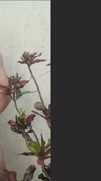 Fare la chiamata nei cespugli dove la gente poteva vedermi dalla strada. È stato caldo, esatto, pazzo e divertente