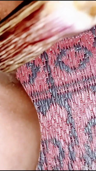 Ass Fuck Gay