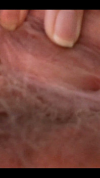 My Pussy Looks so Sexy Spreading My Panties to the Side