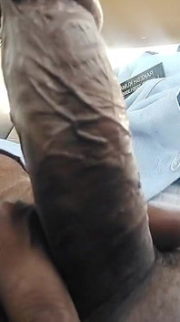 Indian Cock