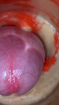 거대한 정액 폭발 4K를 포착한 쪼이는 보지 깊숙한 카메라
