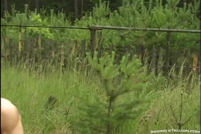 High Octane: Hard Wood