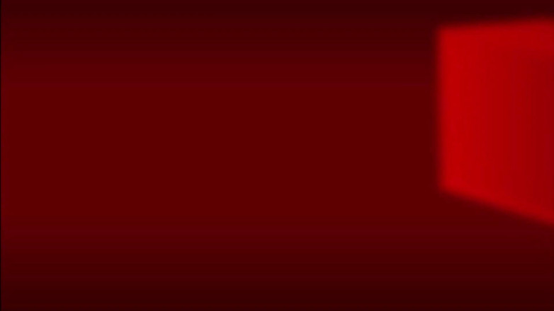 Spizoo: Quasi sorellastre