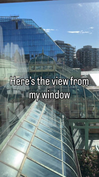 What I See Vs What My Window Sees