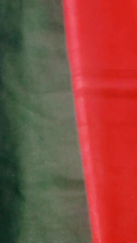 Indian Gay Crossdresser Real XXX Sex in Red Saree Hard Fuck