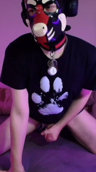 Playful Pup Cant Stop Playing with His Bone