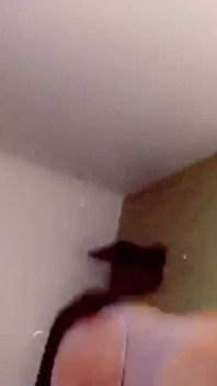 Sneaky Sex in the Room with Stepdaddy Big Black Cock All the Way up My Tight Asshole Oops Wrong Whole