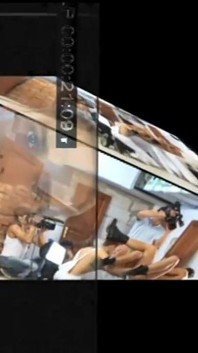 Tre stalloni strappati condividono un fondo insaziabile