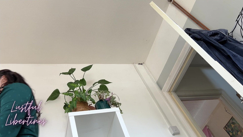 Lustful Libertines: 계모 처벌