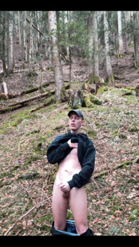 In the Forest