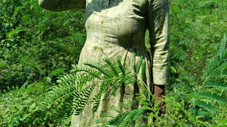 Inba: Nevlastní bratr šuká z džungle