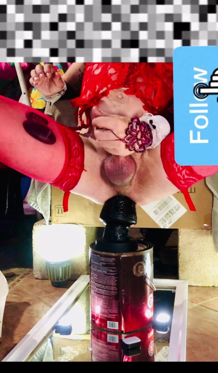 Benito414: Sissy Crossdresser Lace Bustier skacze w ogromnym dużym czarnym dildo