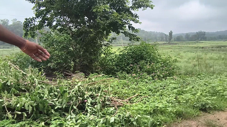 Poonambhabhi village: Šukám svou ženu v džungli