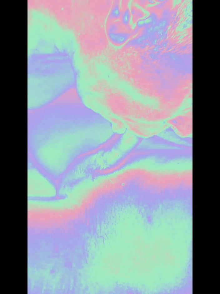 Ladyboy Karl: Sug Ladyboy i Holo