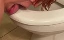 Elena studio: Kencing dan bersihin toilet pakai lidahku