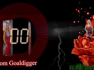 FinDom Goaldigger: Dumma Bimos sinnestransformation