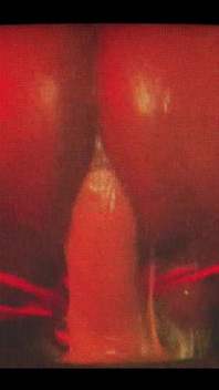 Riding Tf Out of the Phatrabbit Replica