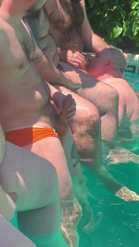 Haarige Bärenorgie Im Pool, Sex Ohne Sattel.