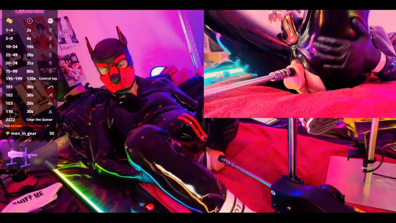 Roman Heart: Doggy Rubber Show
