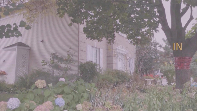 Dom Rod: Cinsel açıdan 2