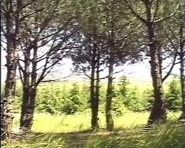 GERMAN PORN CLASSICS: Happy Holliday - Genzenlos Im Urlaub Gefickt