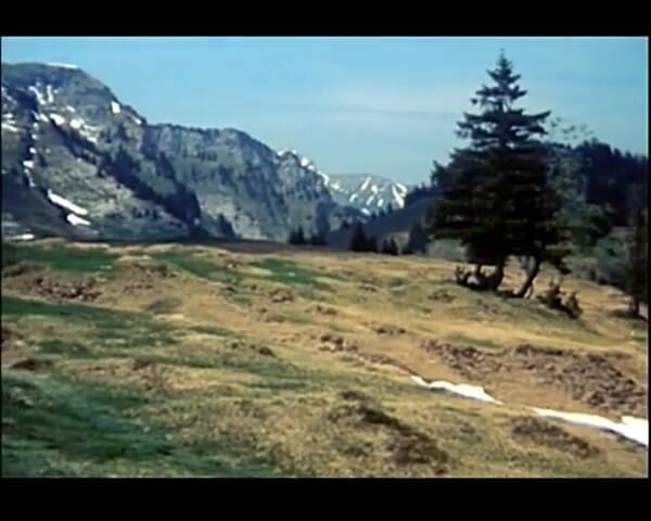 GERMAN PORN CLASSICS: Heissbluetiges Verlangen - Herzog Video