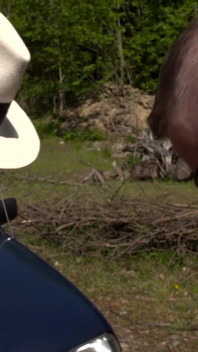 Scarlet Rose kouří a šuká dva obrovské ptáky venku