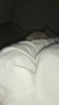 Nacht Vlog Es Zu Hause Und. Sex-freundin