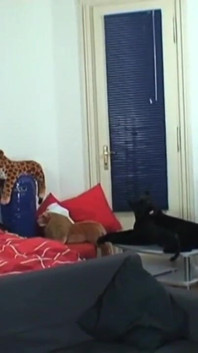 La jeune fille accepte de tourner une vidéo porno pour la première fois