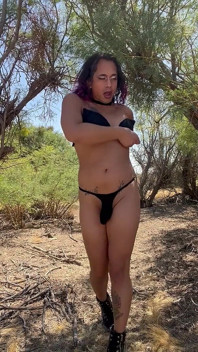 TS Desert Stripper Strips Again