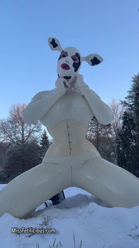 Snow Cow