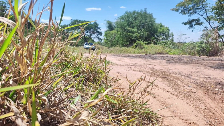 Carmona's films: 情侣在万圣节露营，他的妻子最终被怪物性交