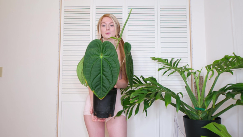 Destination Kat: July Plants