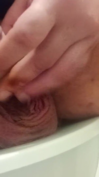 포르노그래피