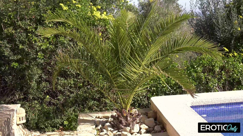 ONLYFREAKSX: Quand les rêves de vacances deviennent réalité