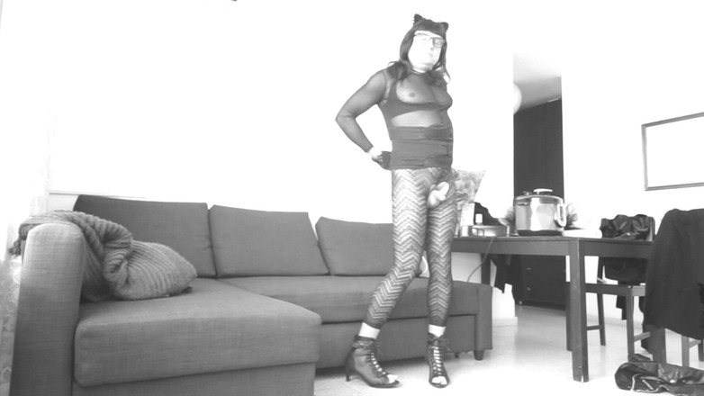 Voyager: クロストレーナーが自慢する。ウェブカメラ経由。