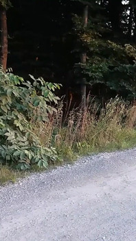 Dojrzała blondynka chodzi na zewnątrz w obcisłych legginsach!