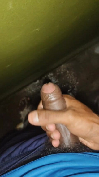 Hotti: Big Bull Sweet Bada Land Play Boy