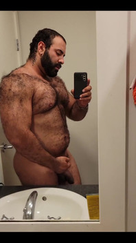 Muscular Bear