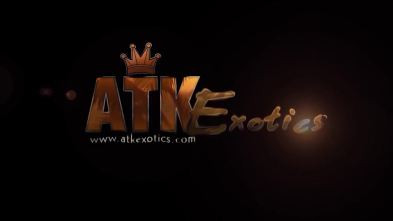 ATK Fans (Exotics): Deportes acuáticos
