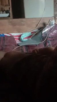 Iclik Biasa