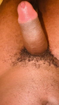 Polla de Habesha