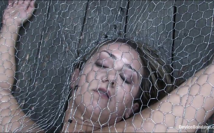 Device Bondage by Kink: Écrit dans