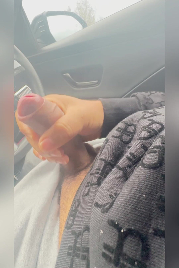 Kadu: Menunjuk-nunjukkan batang besar saya untuk pemandu lori